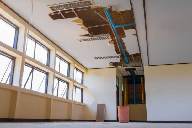 Best Water damage cleanup near me  in Washoe Valley, NV