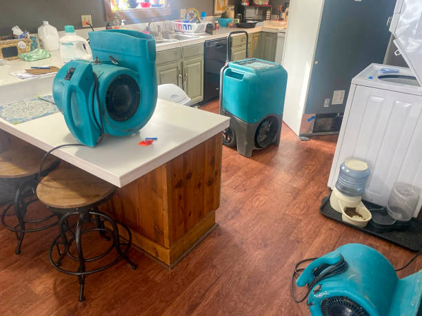 Best Ceiling water damage repair  in Washoe Valley, NV