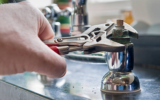 Best Professional water damage repair  in Washoe Valley, NV
