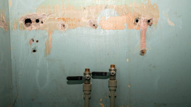 Best Emergency water damage restoration  in Washoe Valley, NV