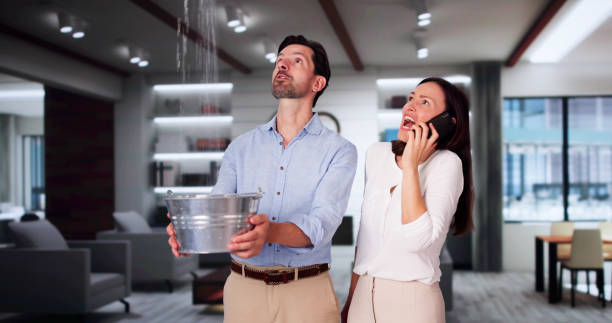 Trusted Washoe Valley, NV Water damage restoration Experts